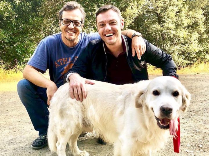 Tiziano Ferro e il marito adottano due cani dal canile e lanciano un appello per gli animali