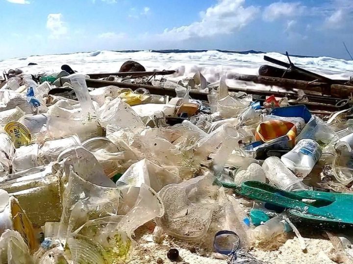 La denuncia WWF: nel Mediterraneo 5 kg di plastica al giorno ogni km di costa