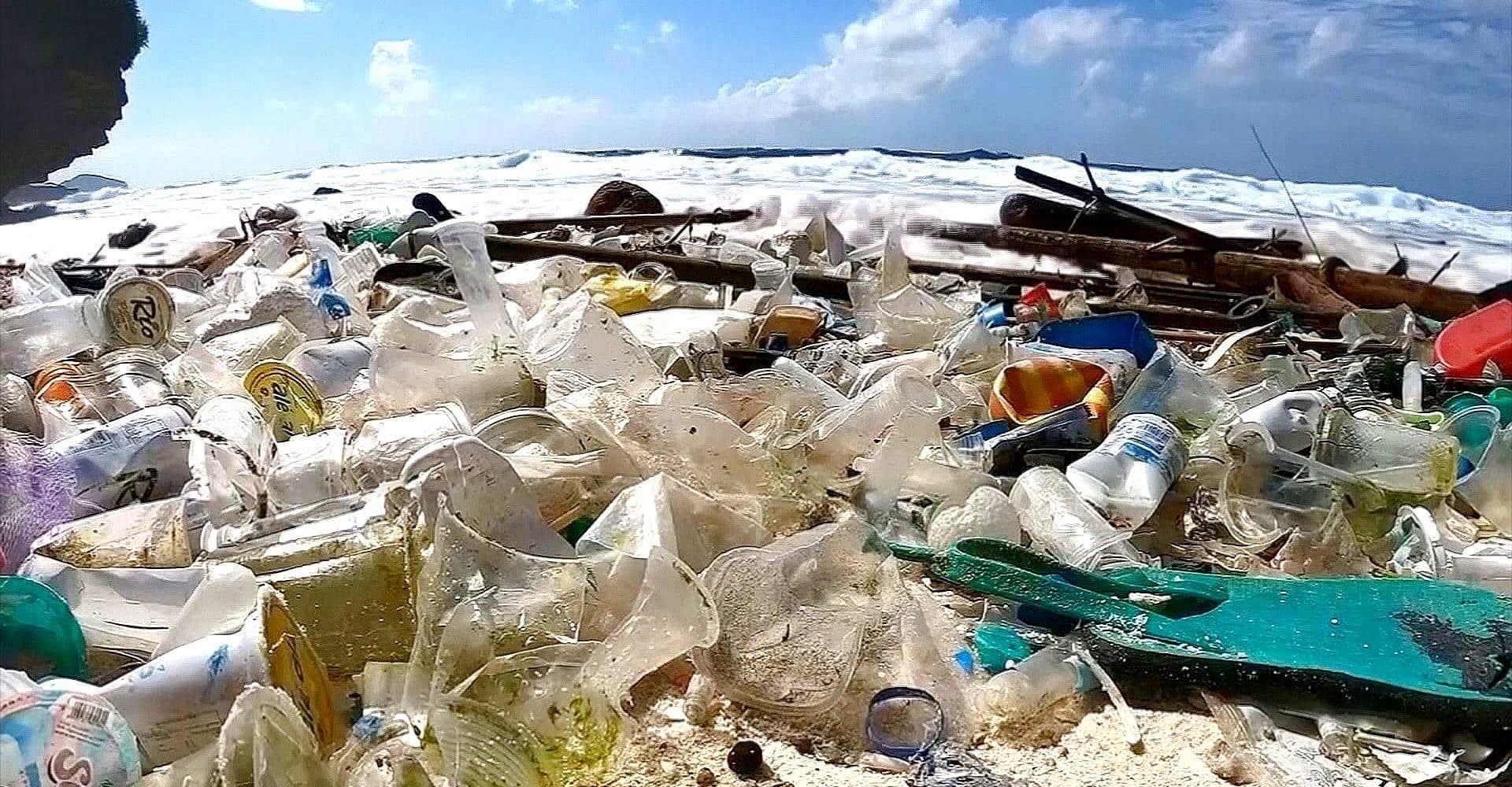 La denuncia WWF: nel Mediterraneo 5 kg di plastica al giorno ogni km di costa