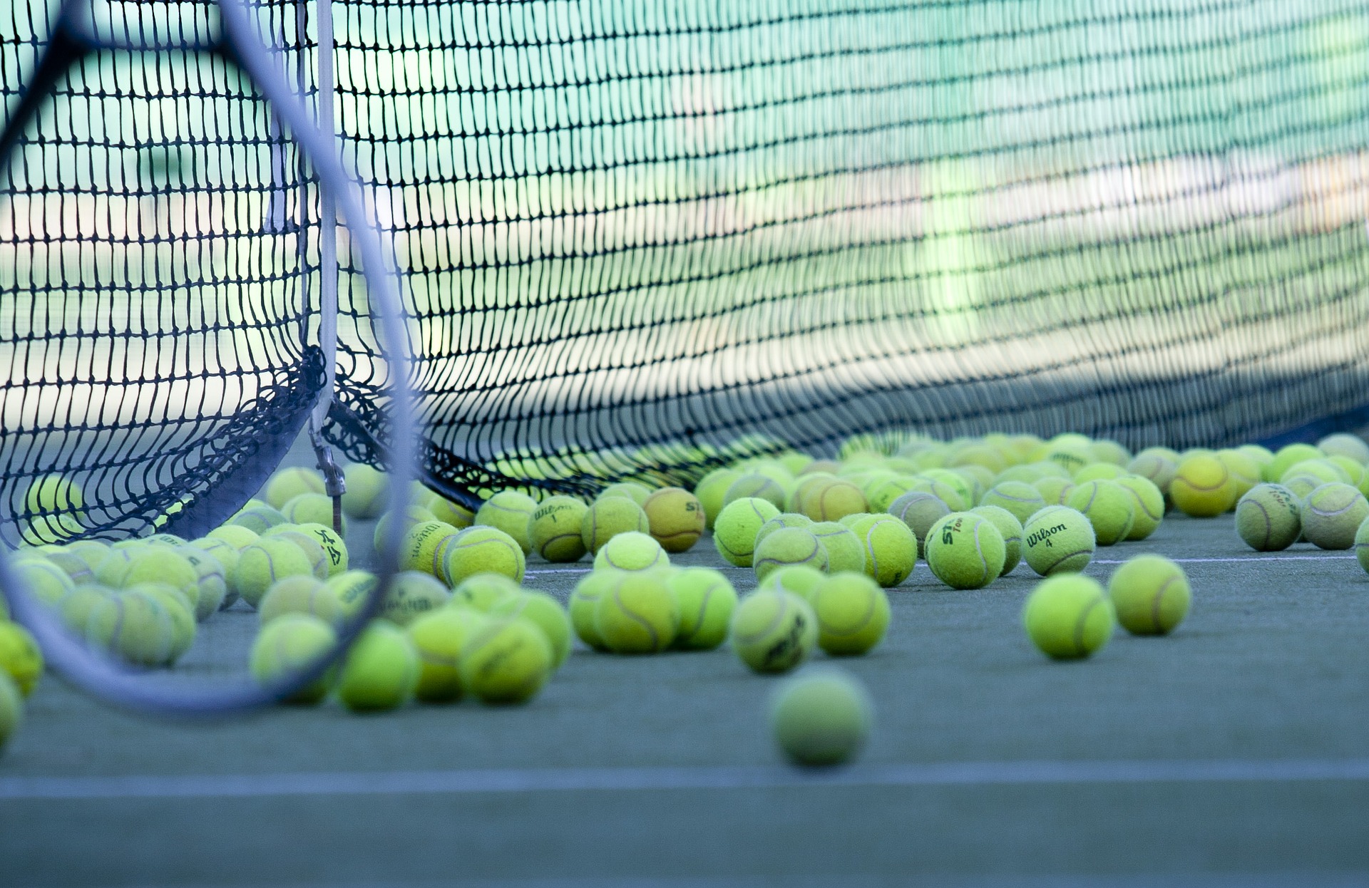 Tennis: Djokovic colpisce una giudice con la pallina: squalificato, si scusa