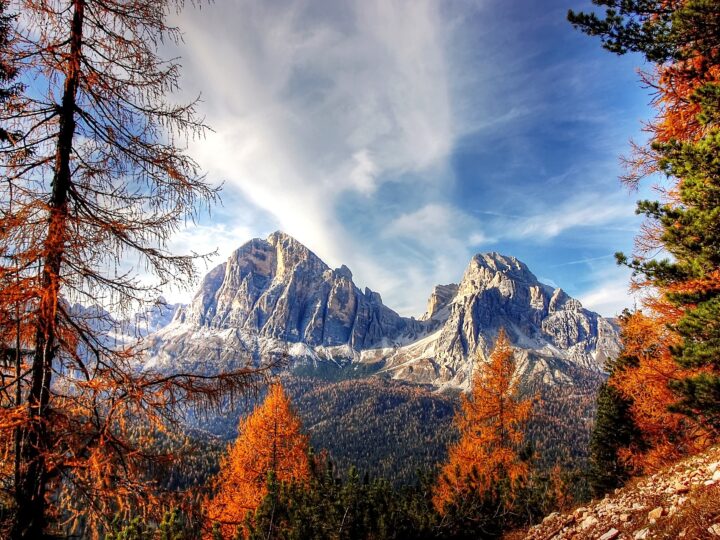 Tutti i sapori della montagna sulle Dolomiti