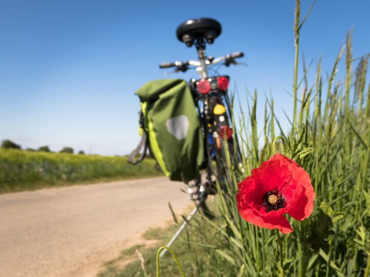 Week end Primo Maggio: cosa si potrà fare