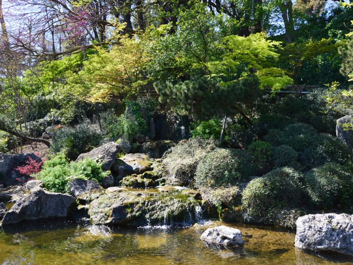 Giardino giapponese a Roma: un angolo di Oriente nella Città Eterna