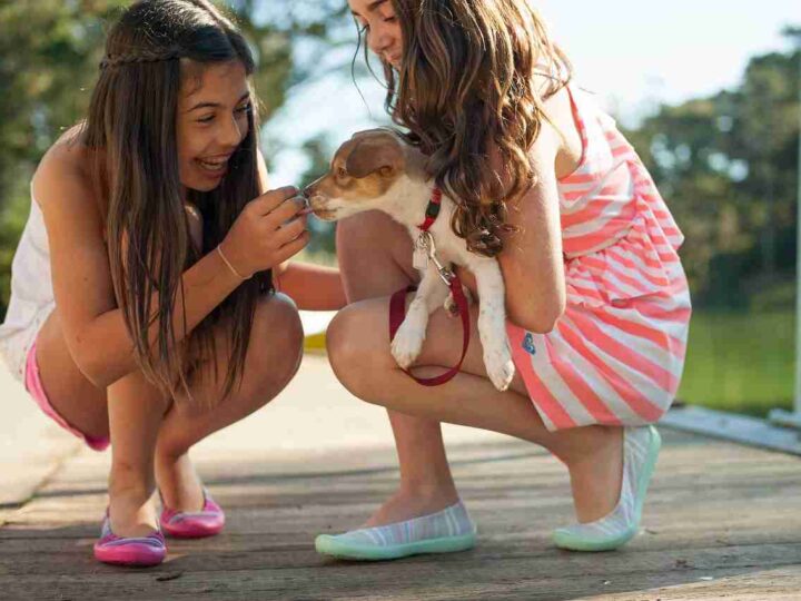 Animali per bambini: cani o gatti? Ecco quali tenere in casa