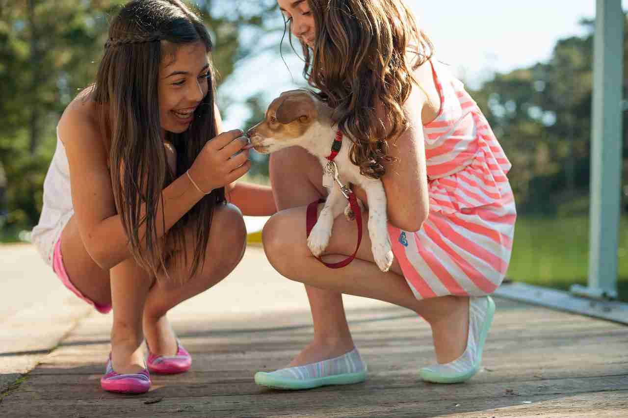 Animali per bambini: cani o gatti? Ecco quali tenere in casa