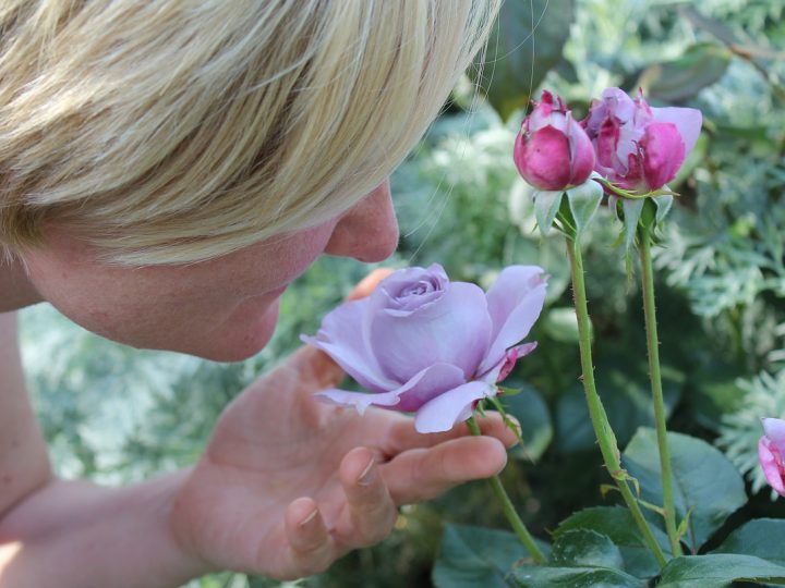 Sniff test, nuovo protocollo per chi ha perso gusto e olfatto dopo il Covid