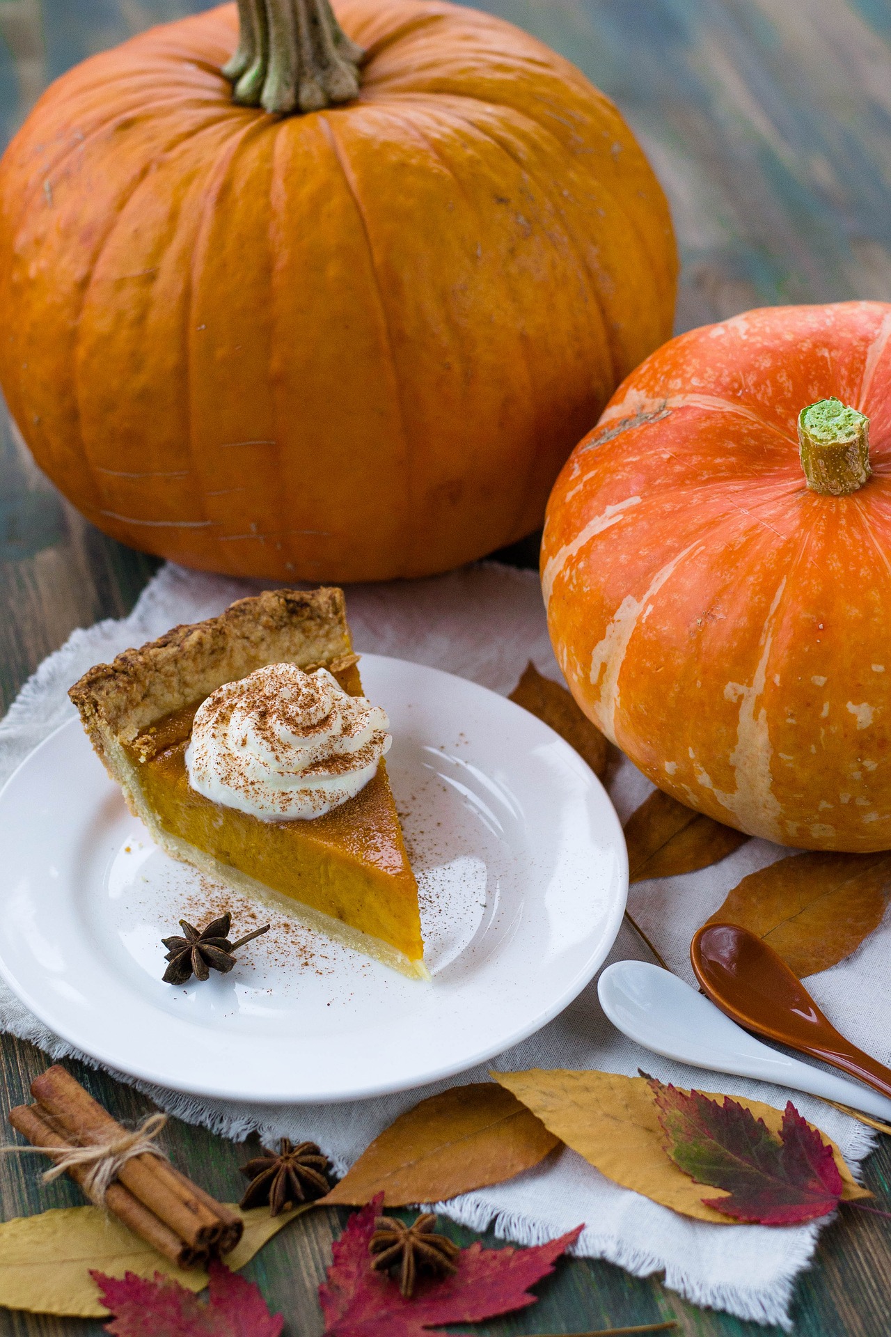 Torta alla zucca 