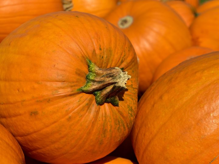 Polpette di zucca