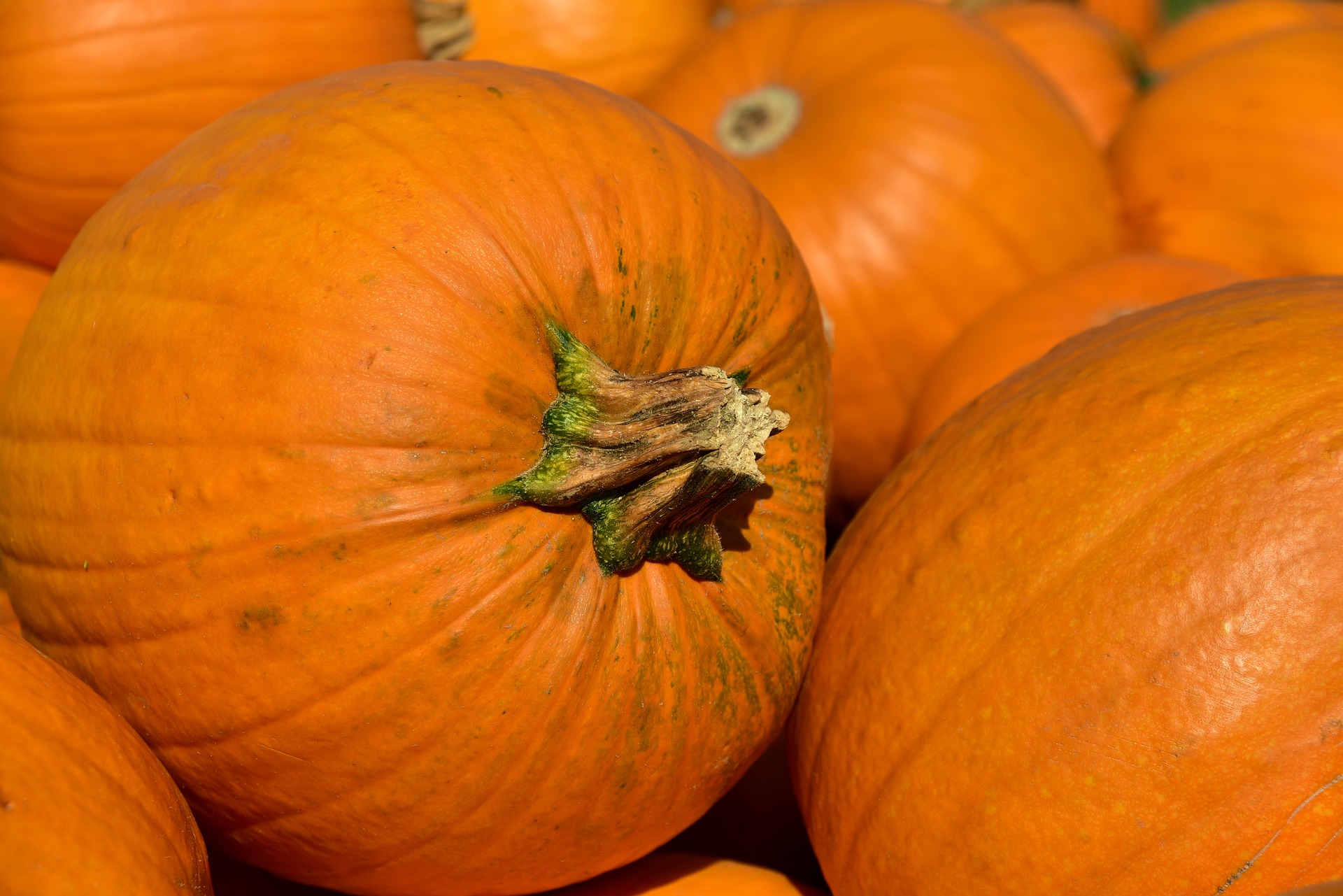 Polpette di zucca