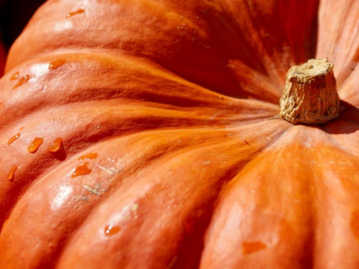 Gnocchi di zucca senza impasto