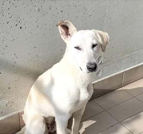 Schermata 2022-03-15 alle 17.12.25