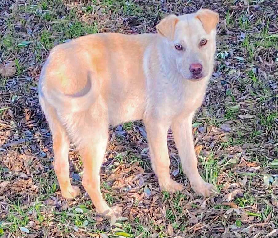 271188327_1778903855653847_33992197562251013_n