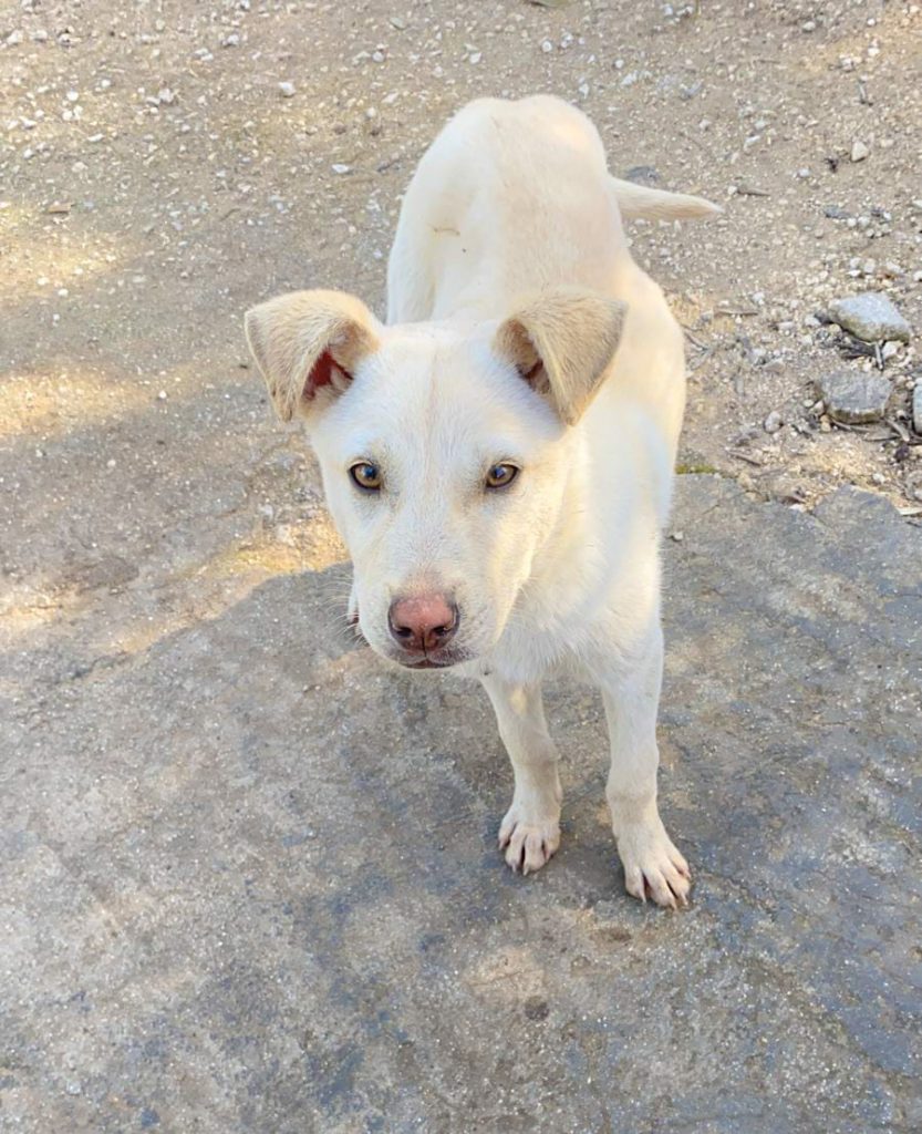 271307564_1778904158987150_9032202456274460997_n