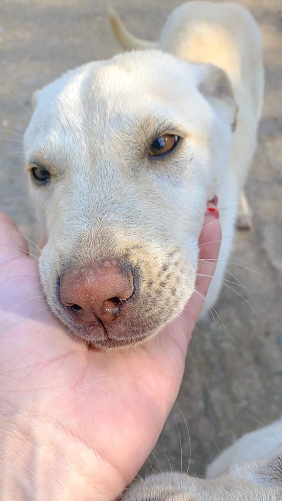 271374741_1778904242320475_5664061475454558982_n