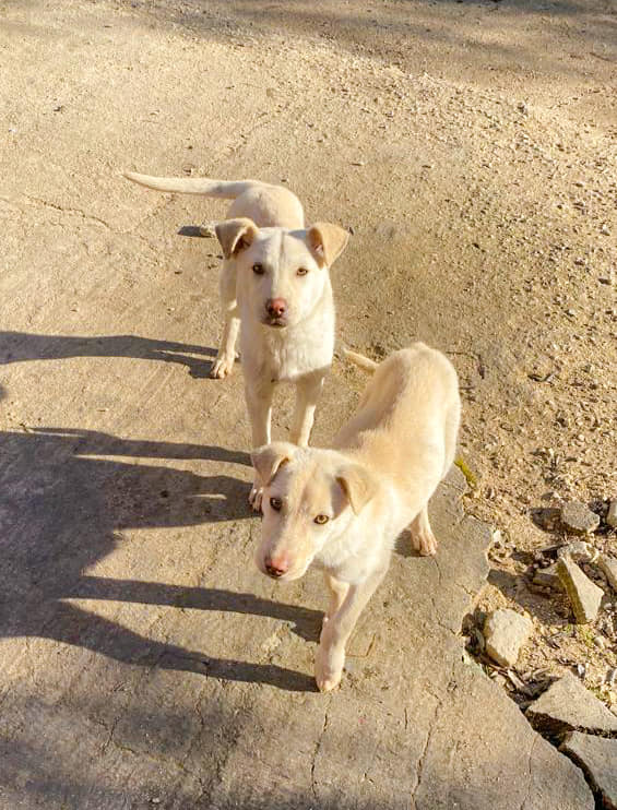 271531466_1778903972320502_8710713472351008147_n