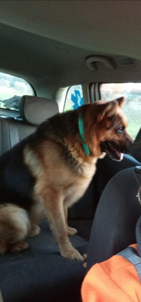 271541832_10220640486579015_5514918643036118215_n