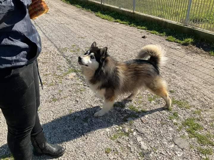 272170782_1328375904346642_6267021682058944016_n