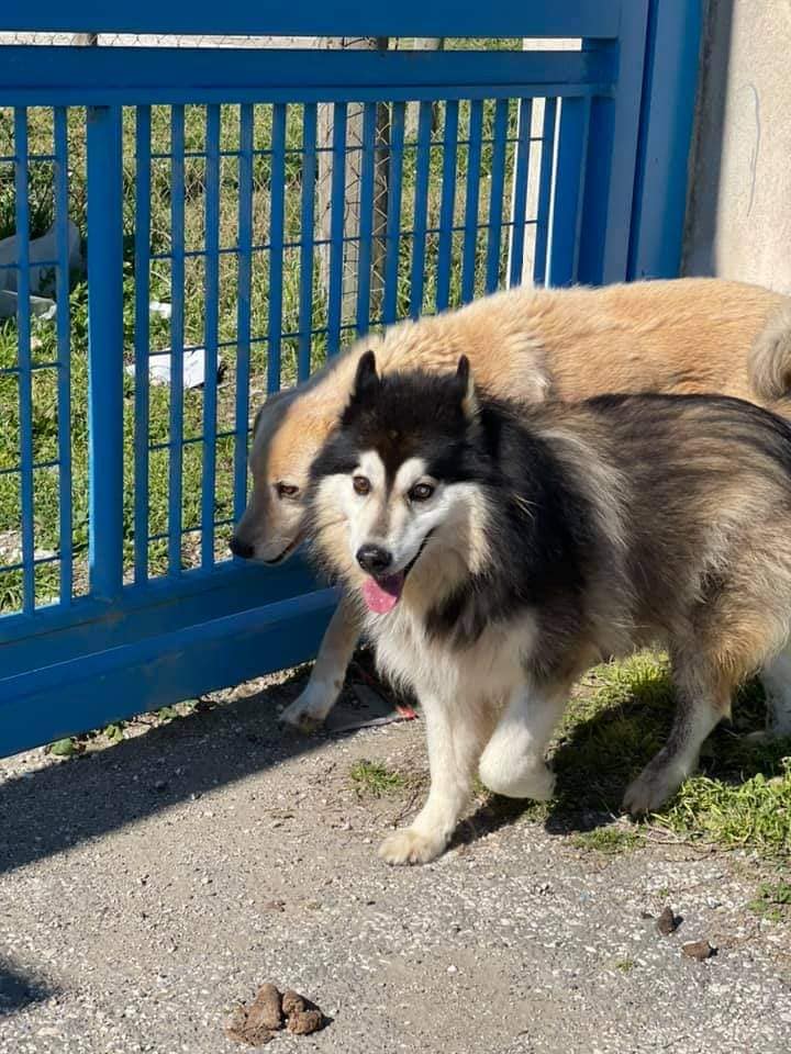 272198230_1328376274346605_8847196036674711476_n