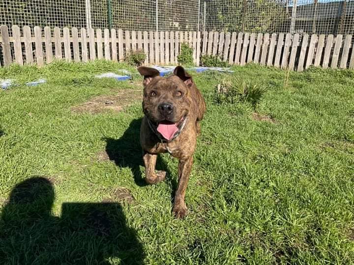 272207203_1328423897675176_740761859057610750_n