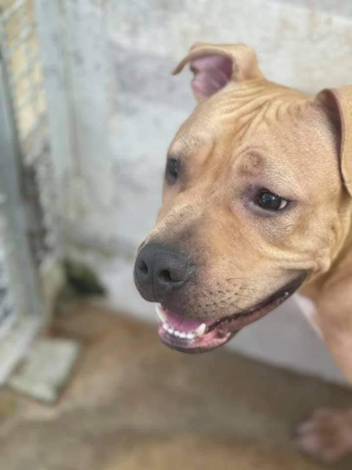 272226545_1328428427674723_5789088994871525998_n