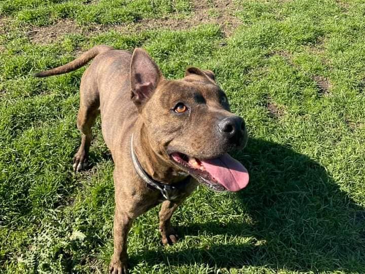 272251335_1328423757675190_904567164502552398_n