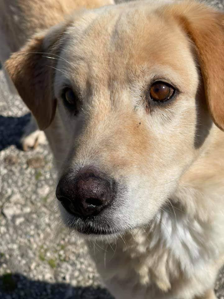 272265102_1328375811013318_906153788965291245_n