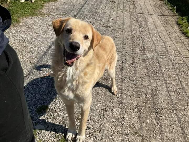 272266117_1328375951013304_122203585676310561_n