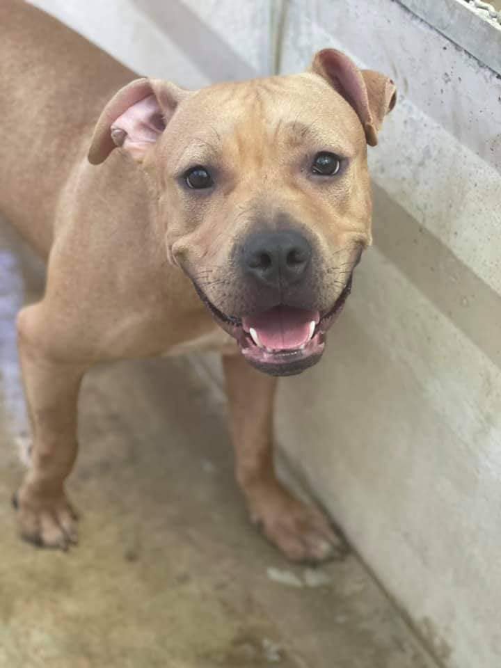 272287596_1328428467674719_750562172019808521_n