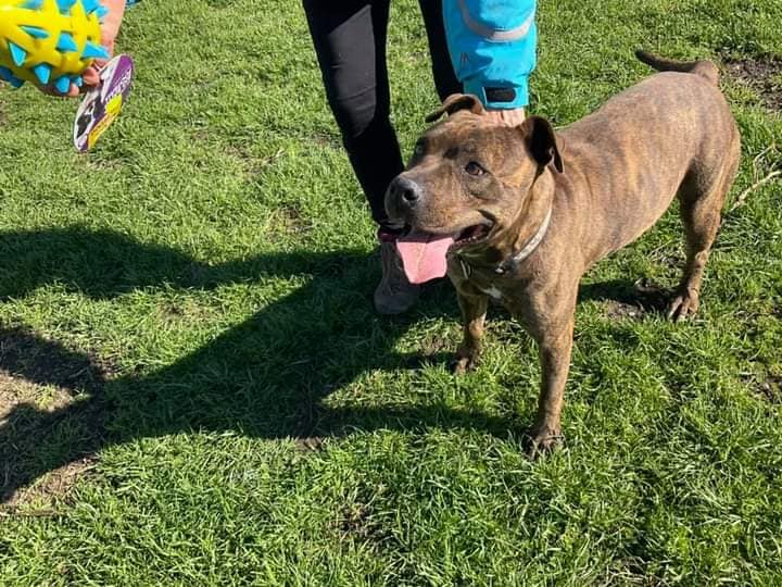 272306840_1328423717675194_8018897481000229022_n