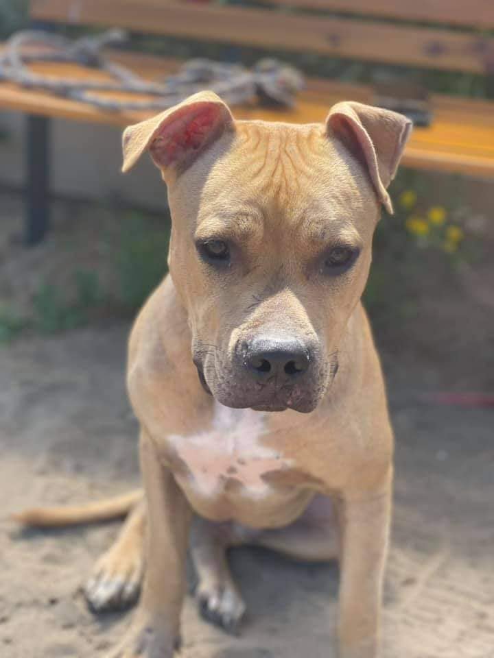 272306840_1328428347674731_3010232676878778894_n