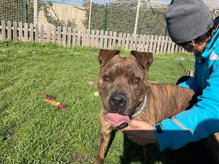 272338974_1328423807675185_3132071221818293795_n