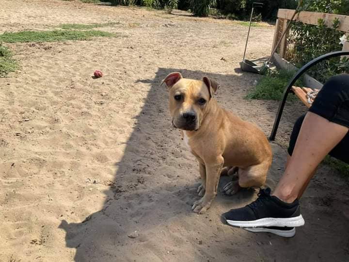 272371053_1328428397674726_6606114681420545367_n