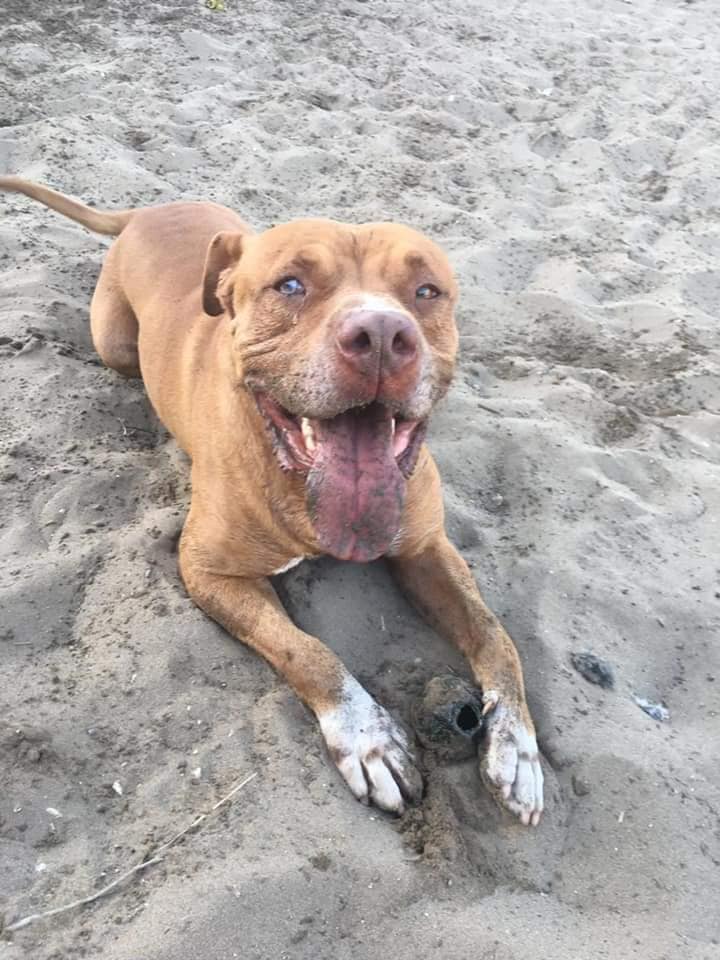 272471438_1330441377473428_22994190848185675_n (1)