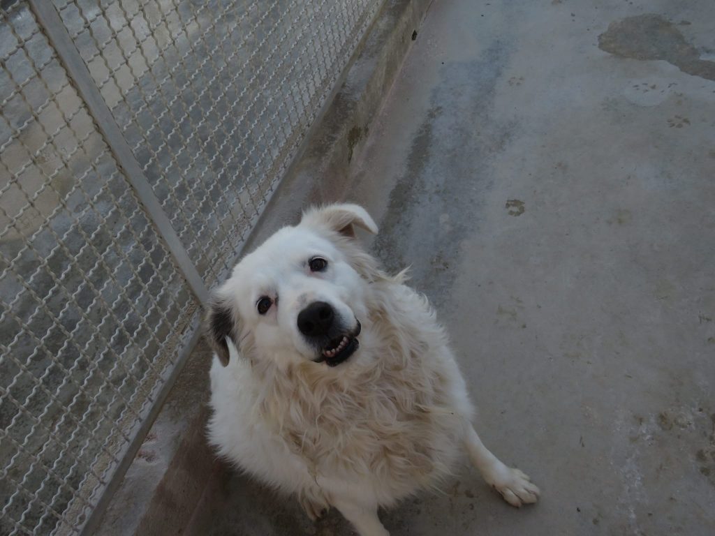 272591023_1335664220284477_1344981261163145432_n