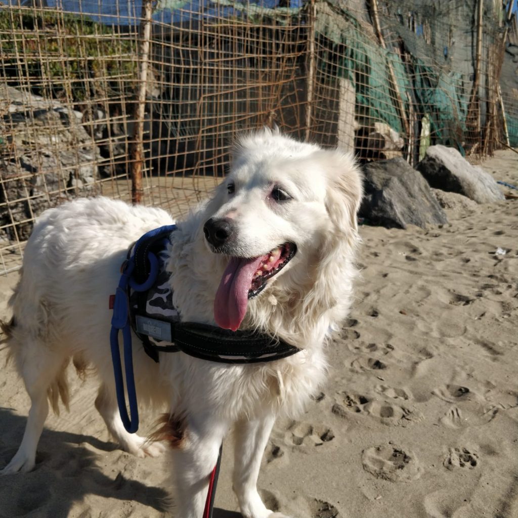 272630020_1335664256951140_3621325141410868715_n