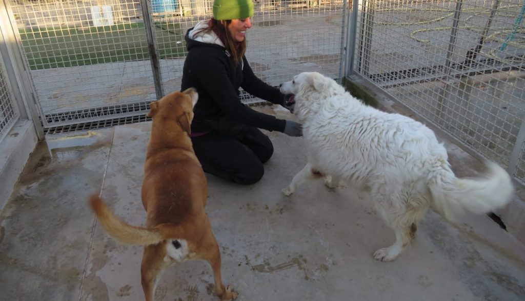 272860552_1335664133617819_8188197849975452374_n