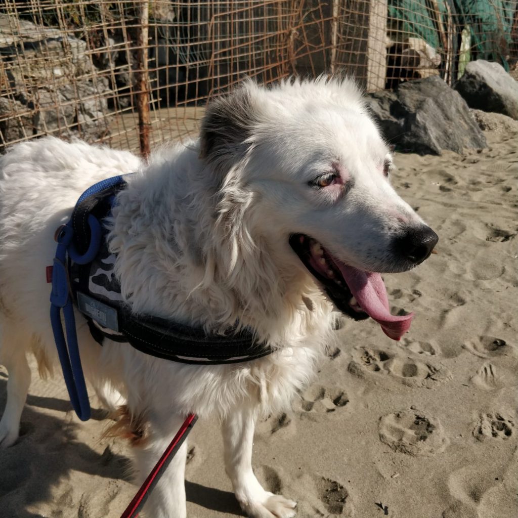 272918343_1335664293617803_4322794461908582495_n