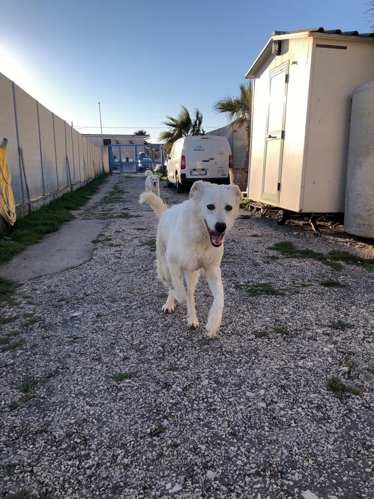 273647091_1349589132225319_4184041166882276882_n