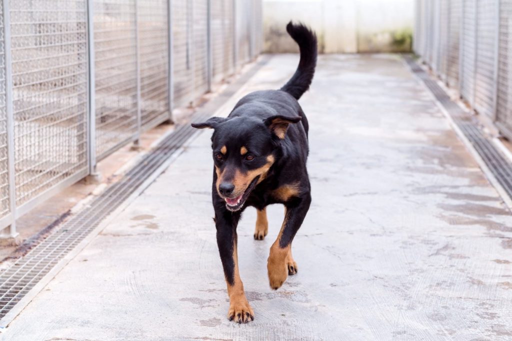 274084582_1349219658928933_4374391013842949204_n