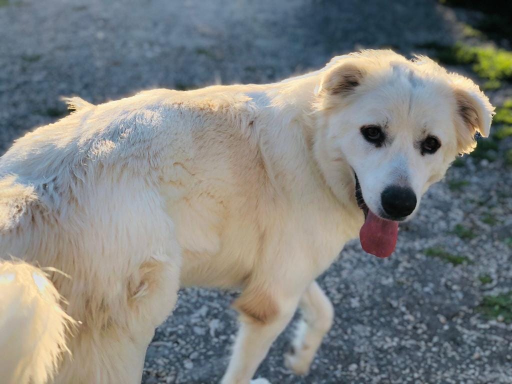 274366518_1349589092225323_59519527572056722_n