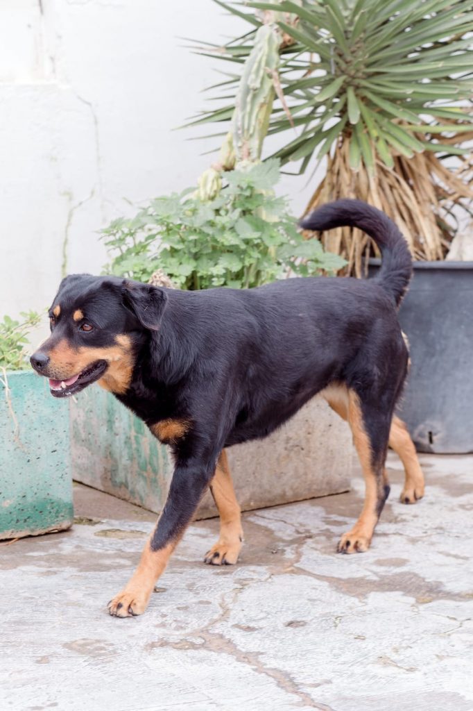 274521351_1349219785595587_4654267182195463889_n