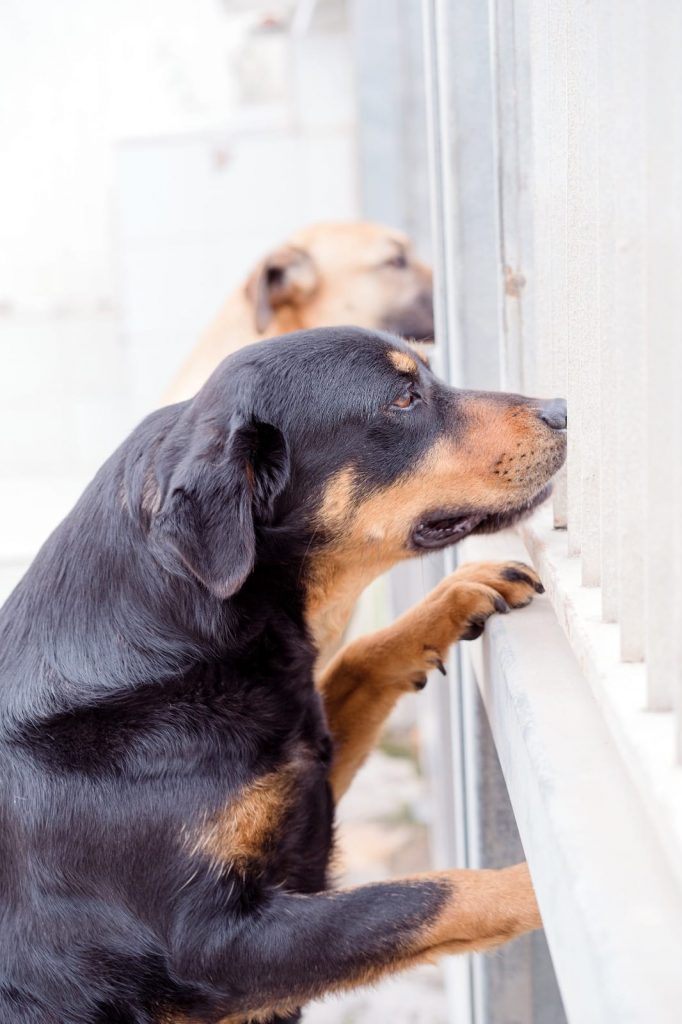 274673356_1349219678928931_805970338161310836_n