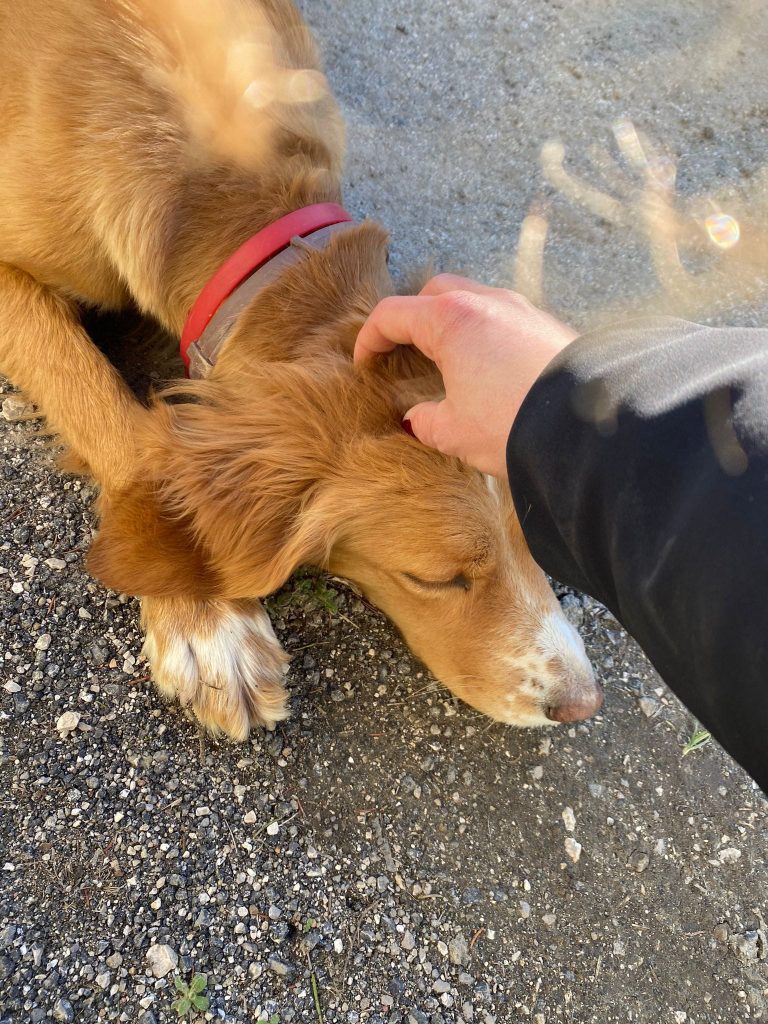 274826853_1352249855292580_7525424481306735440_n