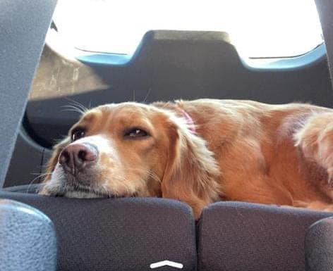 274960180_1352249698625929_7638598843803546473_n