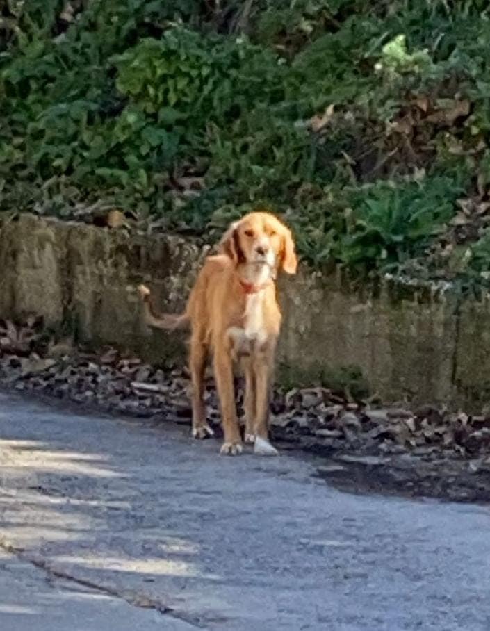 274966478_1352249661959266_6812001147632584993_n