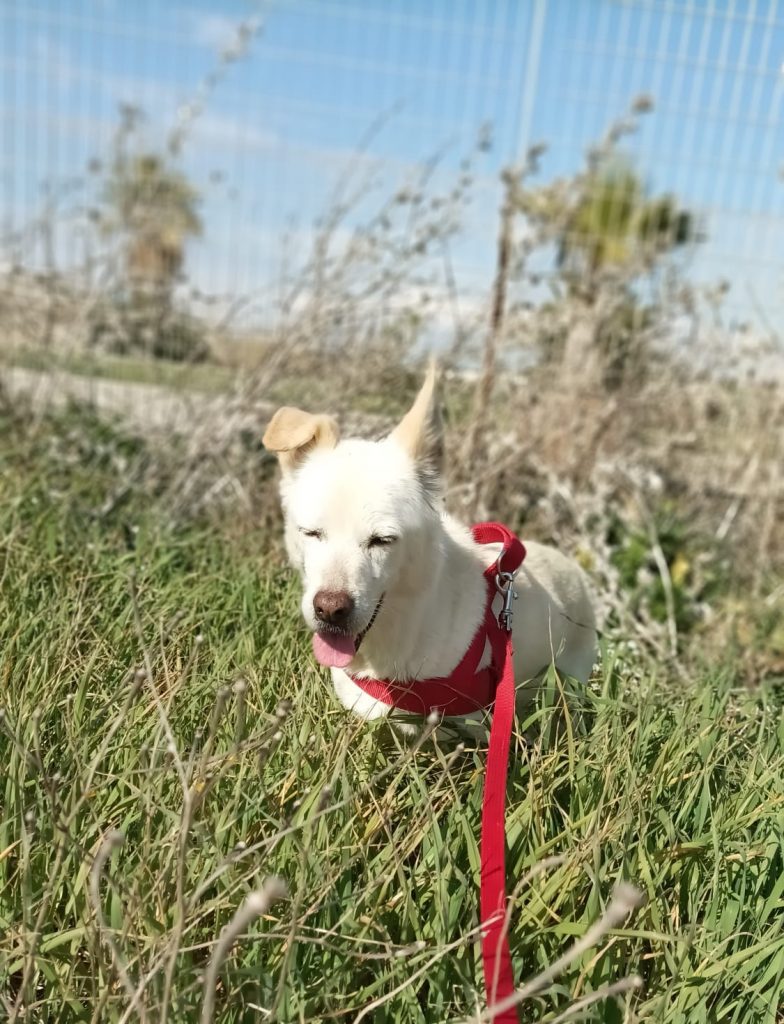 275176337_338009251587377_6925320731501483412_n