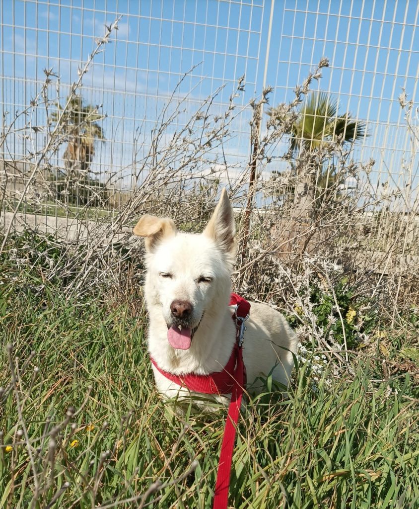 275237240_338009338254035_215381395504389924_n