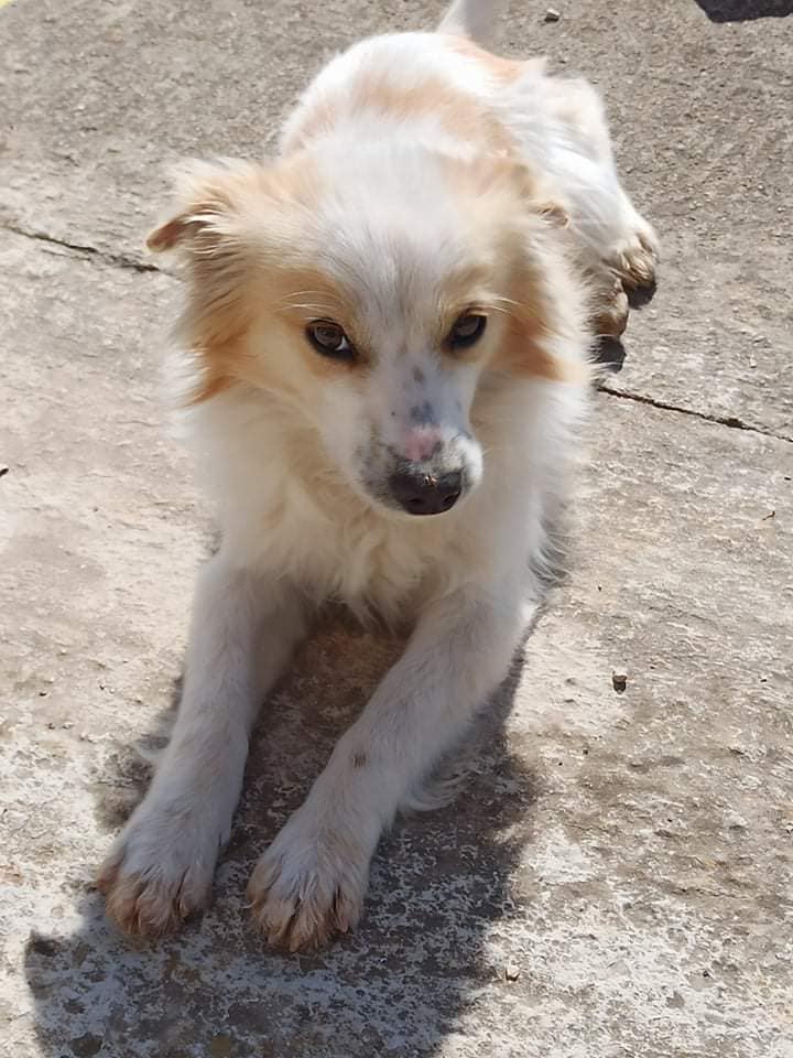 275926875_5159939880693480_4810663451852365225_n