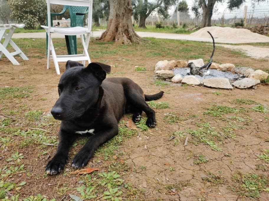 276122275_5174464402574361_7397796552640989731_n