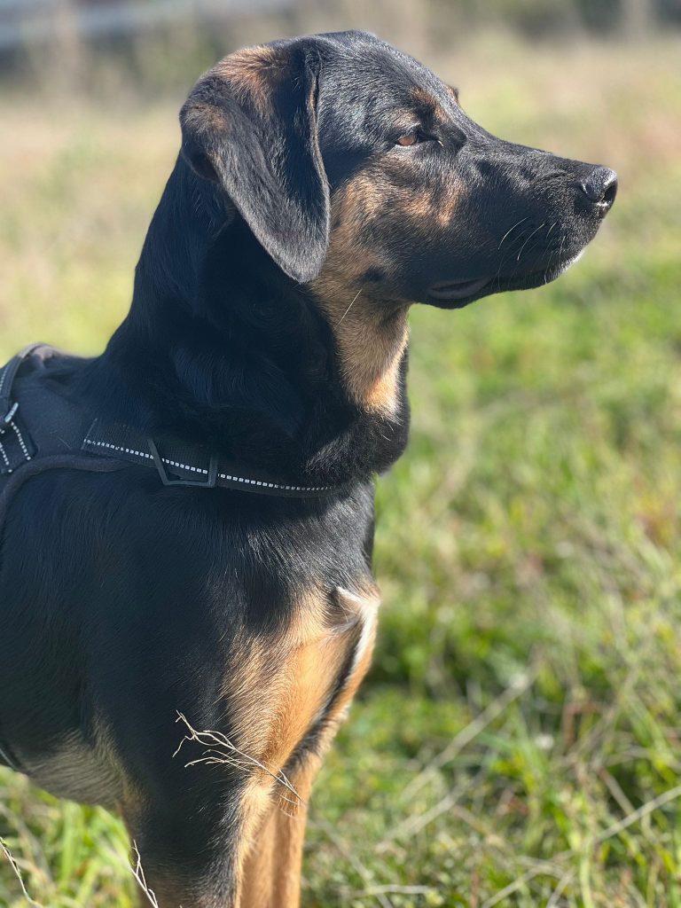 277554153_1378112602706305_6068787557797147393_n